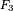 F_3